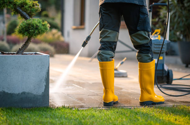 Best Roof Pressure Washing  in East Valley, NV